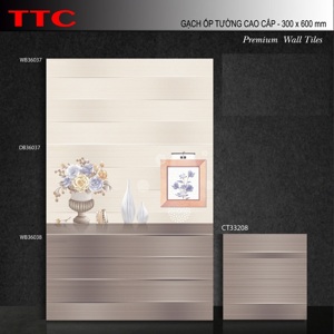 Gạch ốp tường TTC 30x60 WB36037