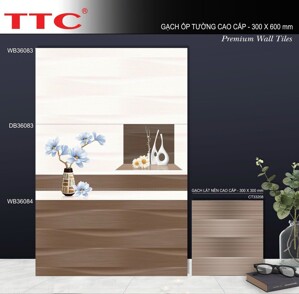 Gạch ốp tường TTC 30x60 WB36083