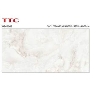 Gạch ốp tường TTC WB48002 40x80