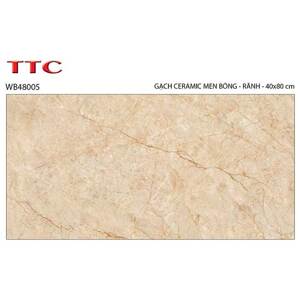 Gạch ốp tường TTC WB48005 40x80