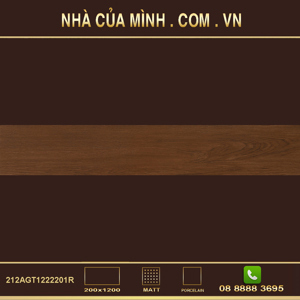 Gạch ốp tường Vietceramic 212AGT1222201R