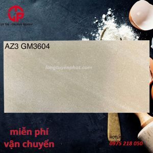 Gạch ốp tường Viglacera 30×60 AZ3-GM3604