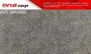 Gạch ốp tường Viglacera 30×60 AZ5-GM3602