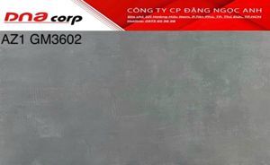 Gạch ốp tường Viglacera 30×60 AZ1-GM3602