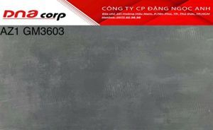 Gạch ốp tường Viglacera 30×60 AZ1-GM3603