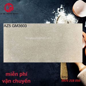 Gạch ốp tường Viglacera 30×60 AZ5-GM3603