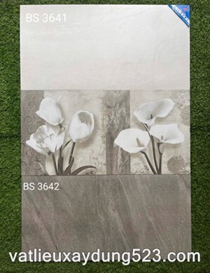 Gạch ốp tường Viglacera 30×60 BS3642