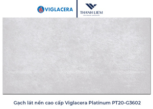 Gạch ốp tường Viglacera 30×60 PT20-G3602
