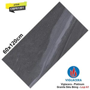 Gạch ốp tường Viglacera 60×120 CBP61201