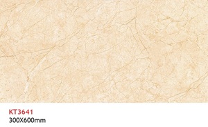 Gạch ốp tường Viglacera KT3641 - 30x60