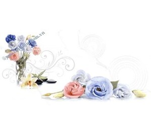 Gạch ốp tường Ý Mỹ 30x60 A36029SD