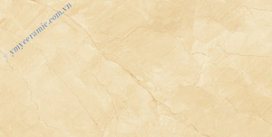 Gạch ốp tường Ý Mỹ P6128011C - 60x120