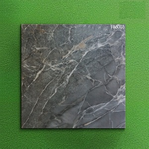 Gạch Porcelain lát nền FELIZ FB6003