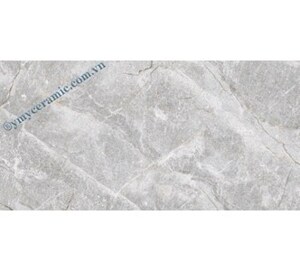 Gạch Premium Marble Matt P365011C