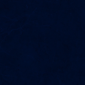 Gạch Prime 60x60 9928