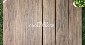 Gạch Prime 9545
