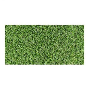 Gạch sân vườn Đồng Tâm 3060GREENERY001 - 30x60