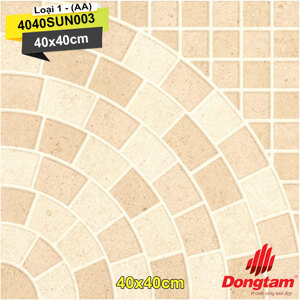 Gạch sân vườn Đồng Tâm 4040SUN003