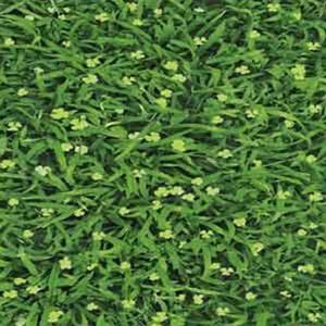 Gạch sân vườn Mikado VC4505