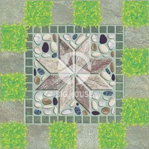 Gạch sân vườn Viglacera SV 5522