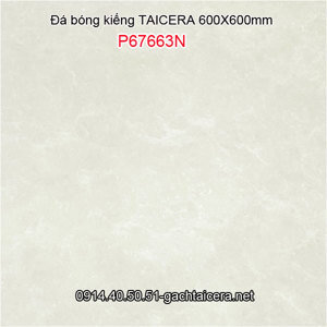 Gạch Taicera 60×60 P67663N