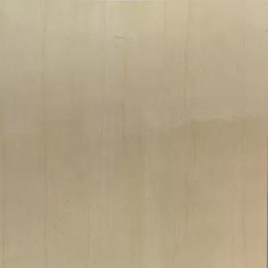 Gạch Taicera 60x60 P67595N