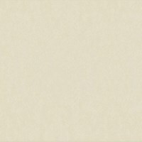 Gạch Taicera 80x80 H88713