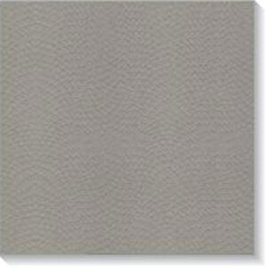 Gạch Taicera Homogeneous Nhám G3848M3 - 30x30