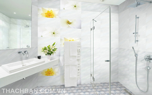 Gạch thạch bàn ốp tường 30x60 và 40x80 TLB-36006-THB-2136006-TDB-36006-MSP-30002