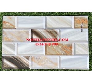 Gạch trang trí 25x40 T74421N