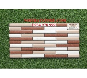 Gạch trang trí 25x50 W25504M