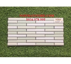 Gạch trang trí 25x50 W25505M