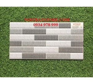 Gạch trang trí 25x50 W25508M