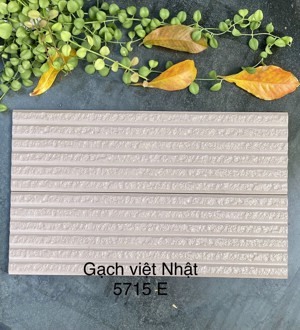 Gạch Trang Trí 5715E