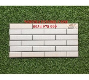 Gạch trang trí 25x50 W25502M