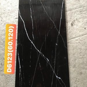 Gạch Trung Quốc 60×120 D6123