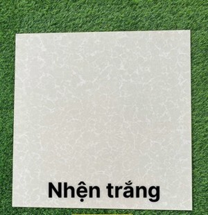 Gạch Trung Quốc 80x80 mạng nhện trắng