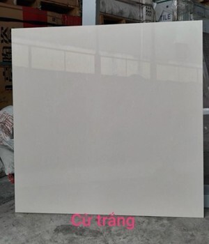 Gạch Trung Quốc 80x80 xà cừ trắng