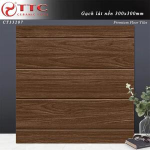 Gạch TTC 30X30 CT33207