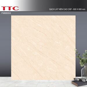 Gạch TTC 600×600 FM66004