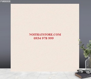 Gạch TTC 600×600 FM66008