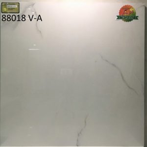 Gạch vi tinh ngọc thạch Ấn Độ 80x80 VA88018