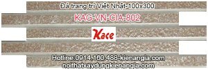 Gạch Việt Nhật CIA 802