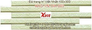 Gạch Việt Nhật CIA 803