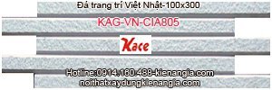 Gạch Việt Nhật CIA 805