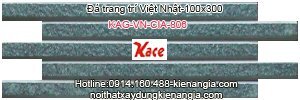 Gạch Việt Nhật CIA 806