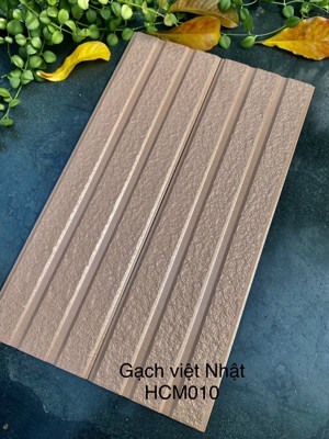 Gạch Việt Nhật HCM 010