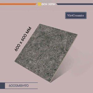 Gạch Vietceramic 600SM8H9D