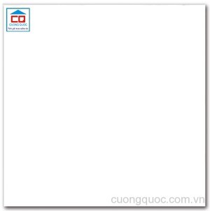 Gạch Vietceramic 60GS66100