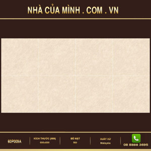 Gạch Vietceramic 60P009A